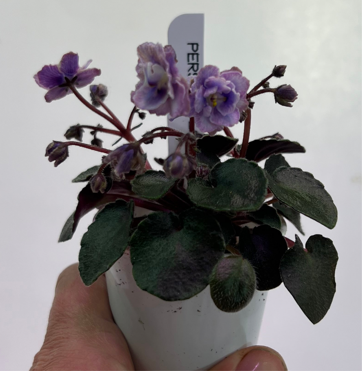 B023D20D-C8AA-4537-B9C8-