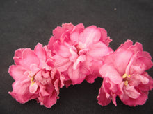 Load image into Gallery viewer, "Ian Madam" African Violet- 2" LIVE PLANT

